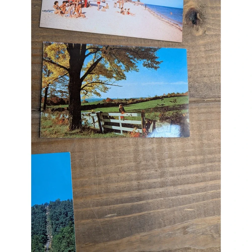 Vintage Unused Postcard Lot 11ct Scenic Travel Florida Arizona Chrome Era Retro
